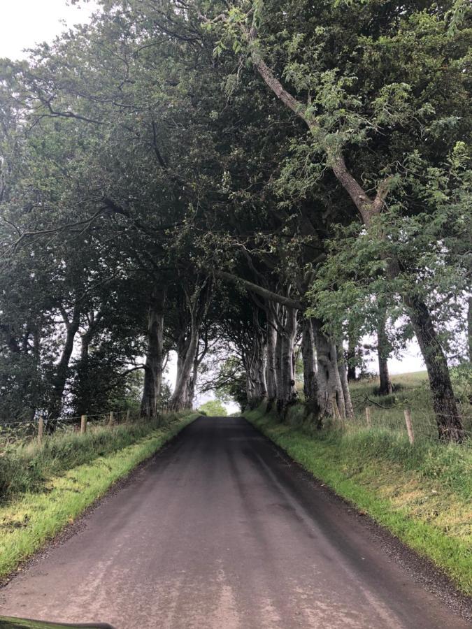 Ferienwohnung Den @ The Dark Hedges Stranocum Exterior foto